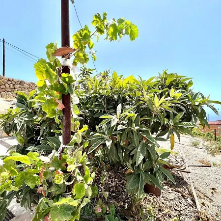 Casa Cueva Con Barbacoa, Wifi Y Vista Inmejorable A Oceano Atlantico Σπίτι διακοπών